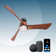 ONE Smart Modern All Season 54" Ceiling Fan with LED Light, Remote, Reversible and Compatible with Alexa/Google 6 Speeds and Light Kit included