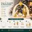 Crèche lumineuse Dazzle Bright de 1,3 m (4,3 pi) représentant la Sainte Famille, avec 170 lumières DEL, pour décorations de Noël extérieures.