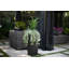 Acerra 25" Square Resin Planter Box set