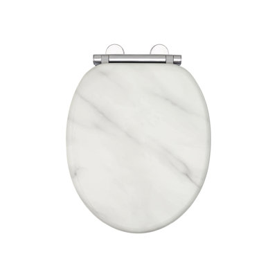 Oval Hard Toilet Seat