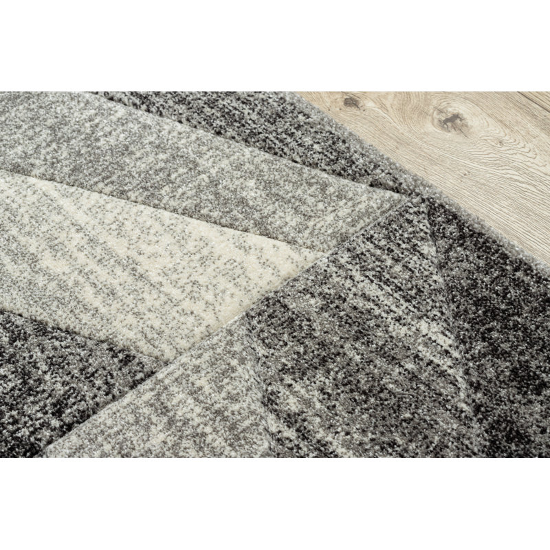 Carrico Geometrisch Area Rug, Rectangular 120 x 170cm