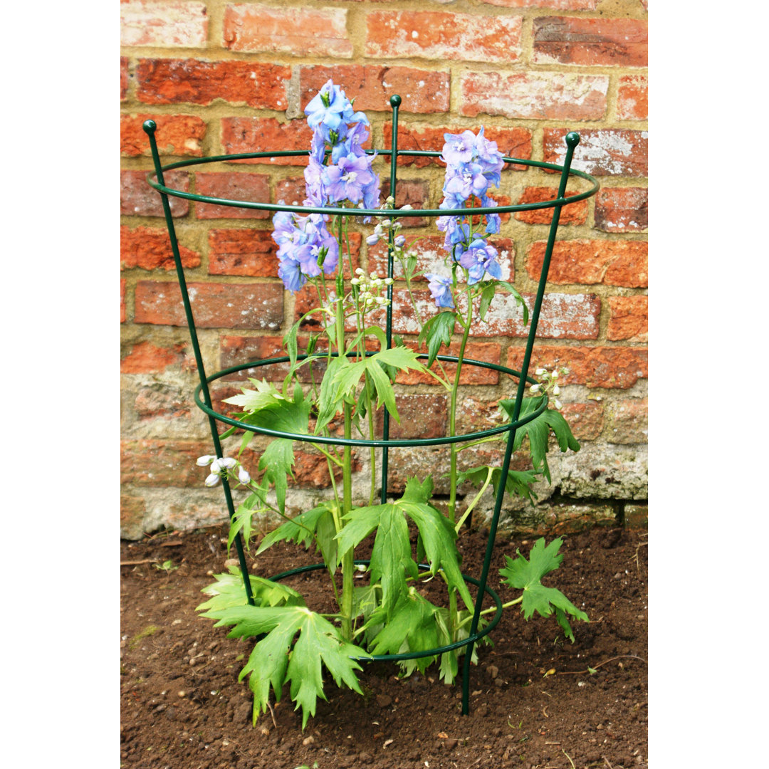 Aureon 1 Piece Plant Support