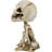 Gothic Macabre Grinning Grave Squatter Skeleton Skull Bobblehead Figurine
