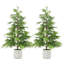 2 arbres topiaires en cèdre artificiel en pot, faux feuillage persistant résistant aux rayons UV pour la décoration intérieure / extérieure-1625293895
