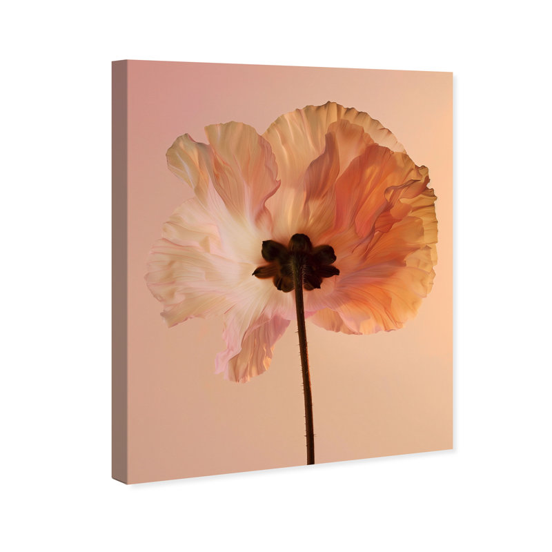Amber Radiance II Floral & Botanical Canvas Print by Oliver Gal, Black Frame, 16 x 20, 16"H x 20"W, Gallery Wrapped