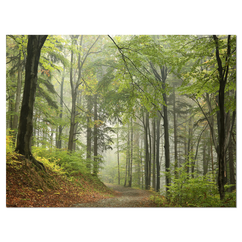 « green beach forest chemin », reproduction de photo sur toile tendue, H 20 po x l 20 po x P 1 po