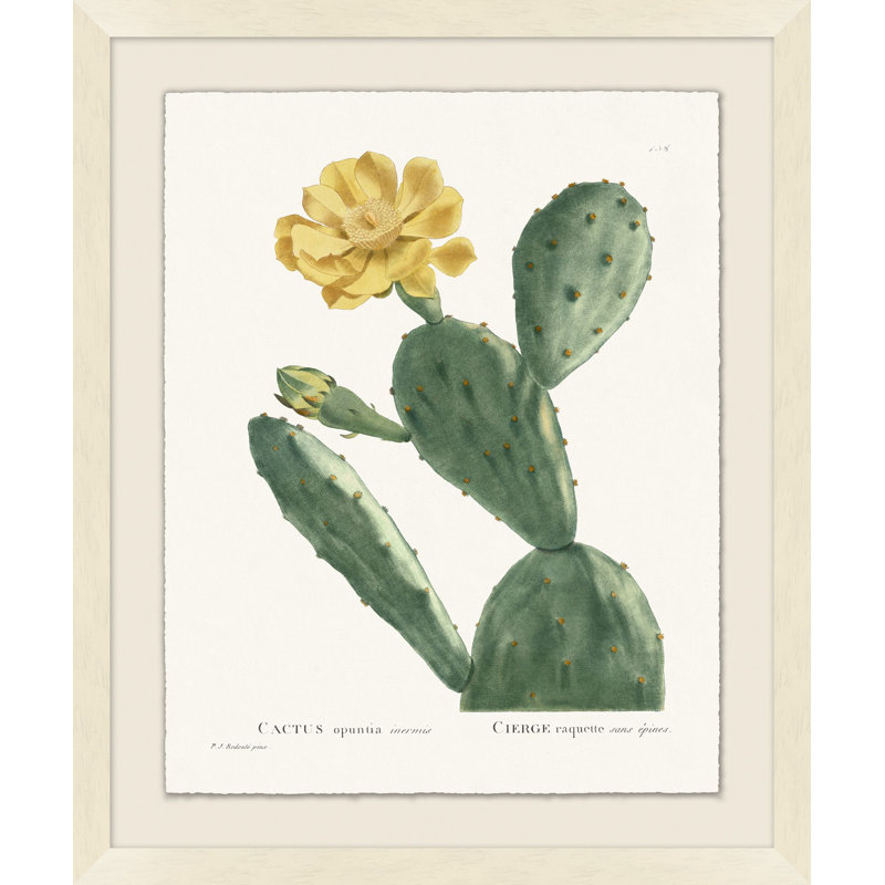 Blooming Cacti 3 Print by Nathan Turner