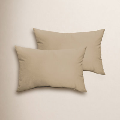 Almeda Indoor/Outdoor Lumbar Throw Pillow