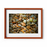 Hazy In The Coconut Print by Joseph Regan