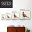 Pheasant Splash 5 - Reproduction encadrée - Restickable-13278309-13278307