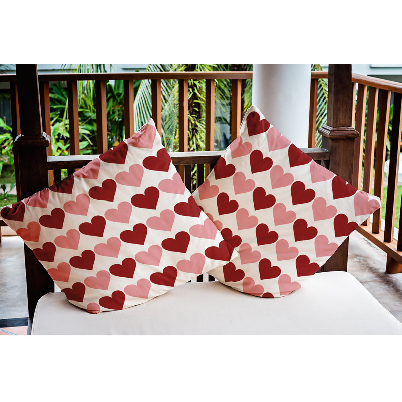  Housse et insert de coussin décoratif en polyester, 20 po x 20 po