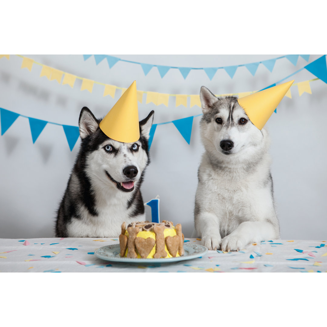 Dogs Birthday von Sergeeva - Kunstdrucke