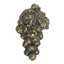 Bacchus grand bouton droit -116235271