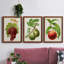 Antique Fruit III - ensemble de 3 peintures sur toile encadrées-1701013477-1701013479