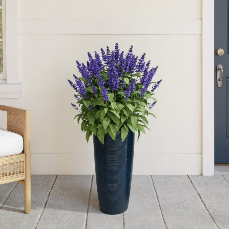 Khadiga Pot Planter