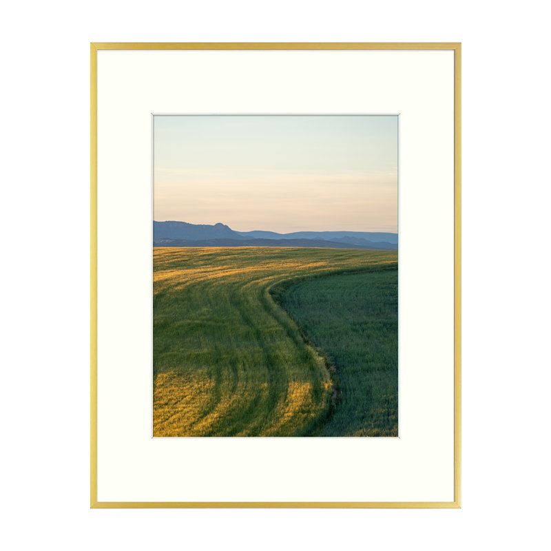 Cadre photo Ariaan, 3 cadres, Or, 11 po x 14 po