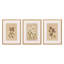 Blooms Ii Triptych By Brittney Shulz-1147893836