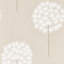 Paloma Amity Wallpaper-50900755