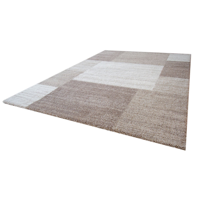 Modern designer Rug Pandora with field pattern in Beige / Brown, Rectangular 200 x 290cm