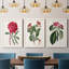 Ensemble de 3 peintures sur toile Roseat Blooms IV-1642987165-1642987162
