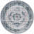 Oriental Indoor Rug-1808870480