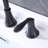 Widespread 2-handle Bathroom Faucet with Drain Assembly-80810852