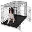 Cage pour chien CAPHAUS Tucker Murphy Pet ™, chenil métallique pour chien avec plateau étanche-980337097