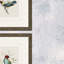«On Perch I», ensemble de 4 reproductions encadrées