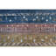 One-of-a-Kind Hand Knotted Area Rug