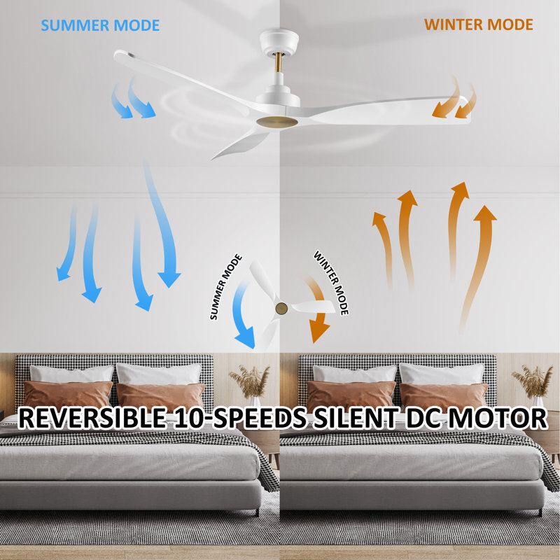 52'' Edrica 3 - Blade Ceiling Fan without light