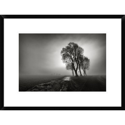 " Fog "