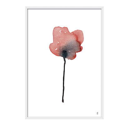 Nature Flor Ortiz II by César Ortiz Echagüe - Single Picture Frame Painting