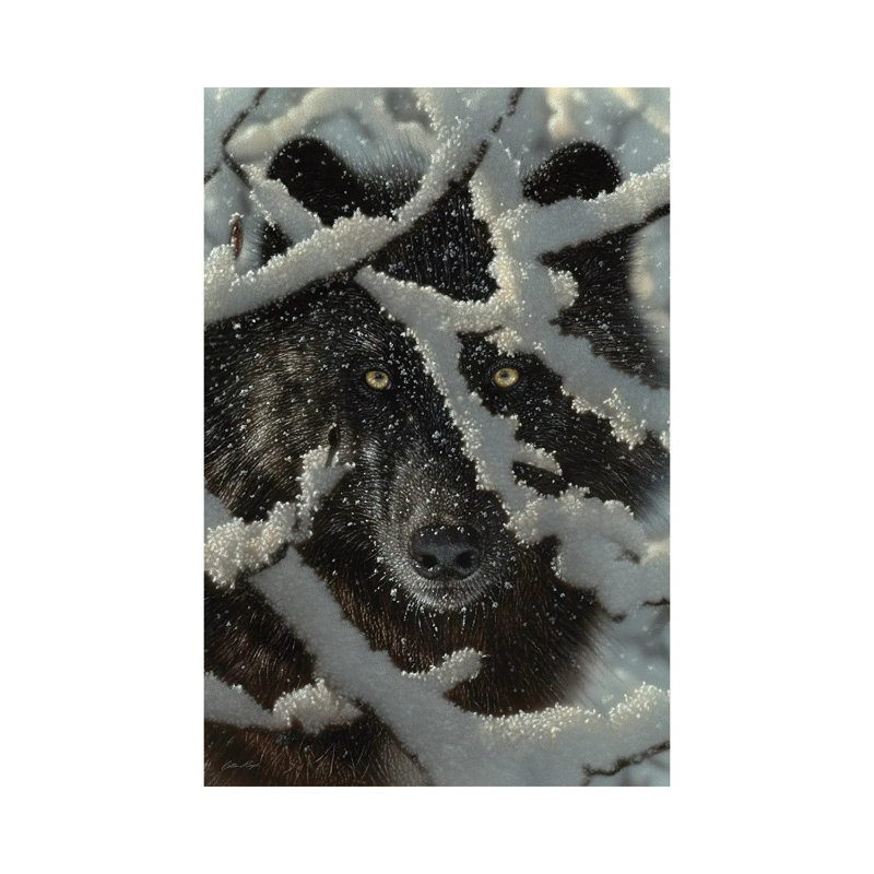 Winter's Black Wolf by Collin Bogle - Print on Canvas, 101.6 cm H x 66.04 cm W x 1.91 cm D, Wrapped Canvas