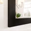 Eviva Aberdeen 72" x 30" Rectangular Espresso Wooden Framed Mirror