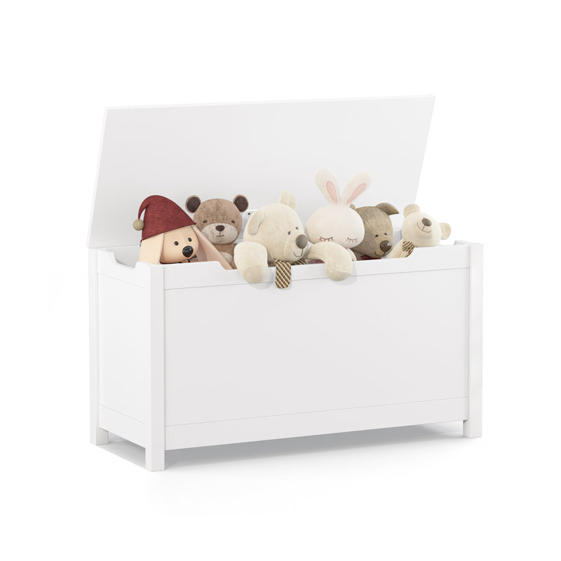 Ennassim Ebern Designs Toy Box with Safety Hinged Lid, White