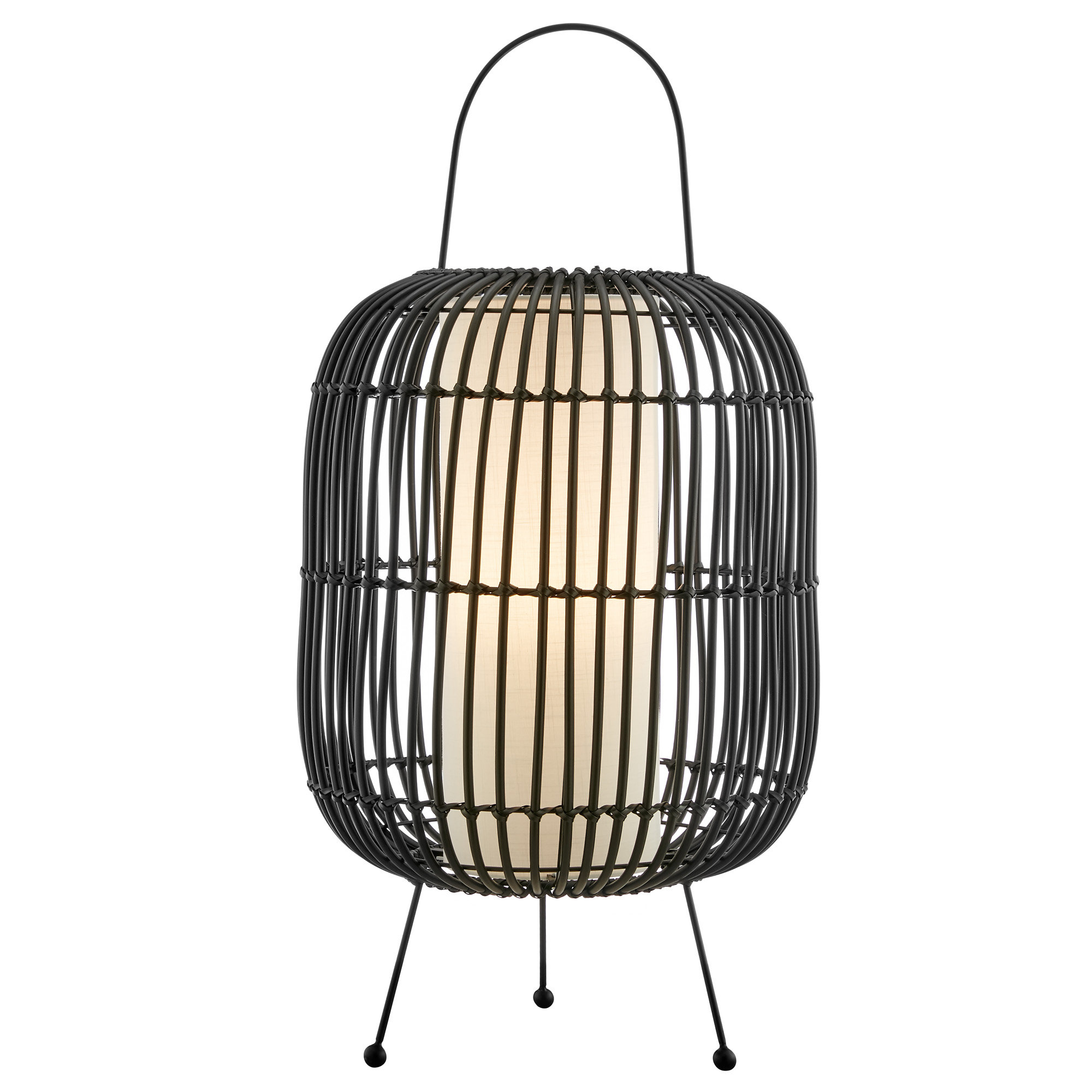 Charisse 26'' Battery Powered Integrated LED, Black
