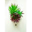 Agave de fleurs en céramique en céramique-hedgehog