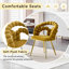 Ensemble de 2 chaises d'appoint rembourrées modernes pour la salle à manger et la cuisine-96509917