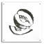 «Cantaloupe I BW» par Chris Paschke-1888771291