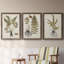Fern Botanical IV - Ensemble de 3 peintures sur toile encadrées-1362442883-1362442894
