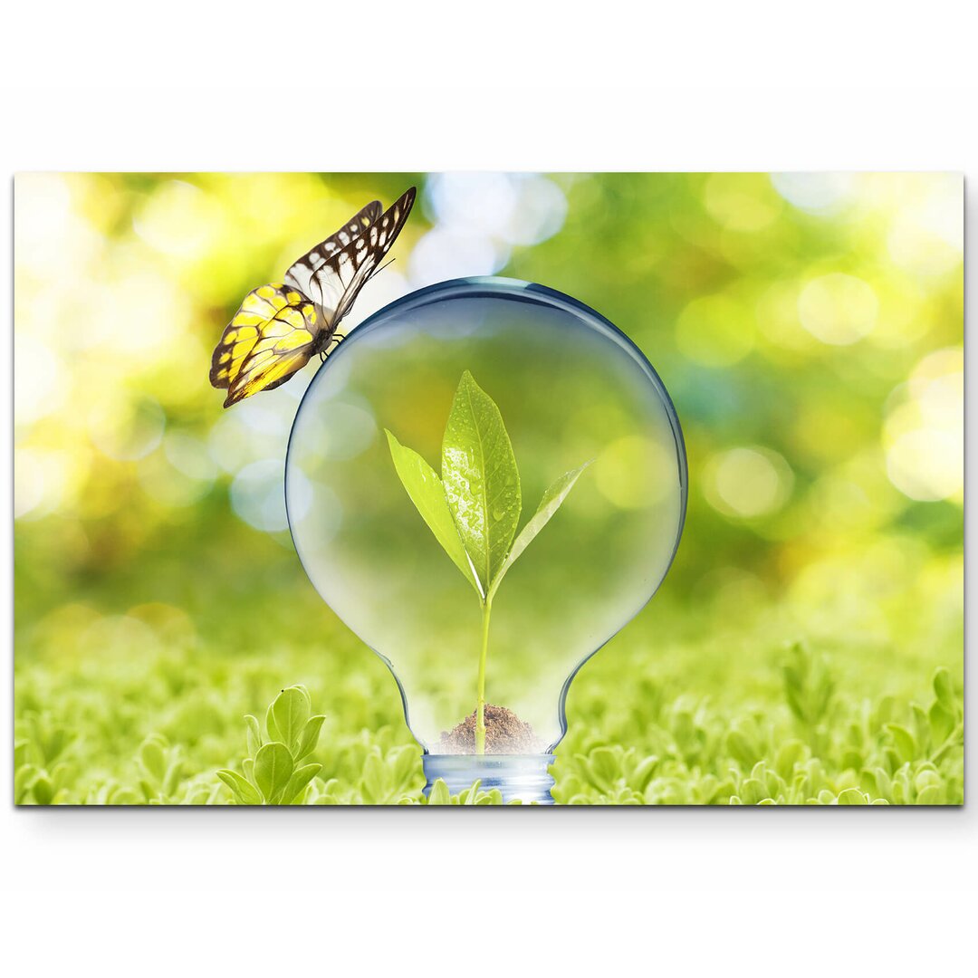 Leinwandbild Plant Sprout in Glühlampen mit Schmetterling