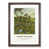 Walnut Framed selected