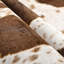 Animal Print Area Rug-923903597
