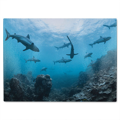 Schooling SharksWestern Australia Designer Glass Chopping Board