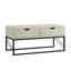 Sled Coffee Table with Storage-1059496211