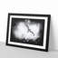Flying Seagull - Picture Frame Graphic Art Print-56862989-56862990