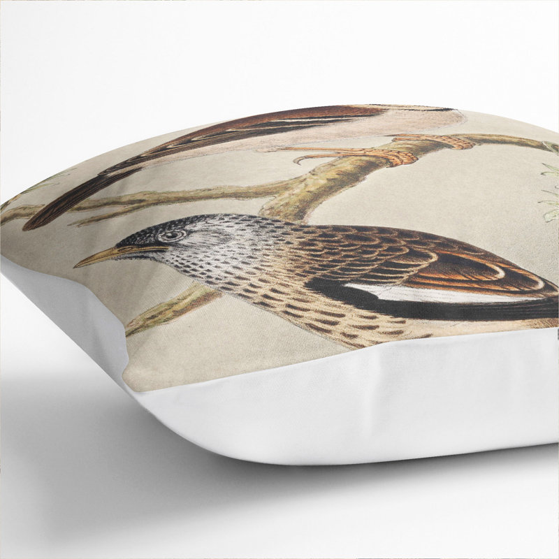 Square Cushion, White, 55cm H x 55cm W x 20cm D