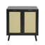 Craven 2-door Cane Cabinet