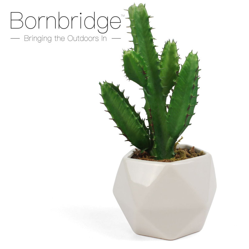 2.75" Artificial Cactus Succulent in Planter