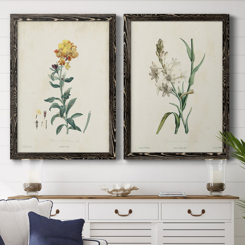 Toile encadrée de qualité supérieure Traditional Botanical III - prête à être accrochée, H 31,5 po x l 47 po x P 1,5 po